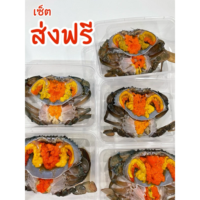 (วันที่ได้รับสินค้าแจ้งในแชท) ส่งฟรี✅ เซ็ตปูไข่ดองล้วนๆส่งฟรีทั่วประเทศ ไซส์ M 5กล่อง แถมน้ำจิ้มซีฟู้ด