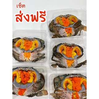 (วันที่ได้รับสินค้าแจ้งในแชท) ส่งฟรี✅ เซ็ตปูไข่ดองล้วนๆส่งฟรีทั่วประเทศ ไซส์ M 5กล่อง แถมน้ำจิ้มซีฟู้ด