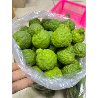 ลูกมะกรูด 1กก. สด,ใหม่จากต้น💯🌱