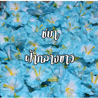 ดอกชบา หัวดอกชบา ดอกชบาประดิษฐ์ ดอกชบาแห้ง ถุงละ500ดอก
