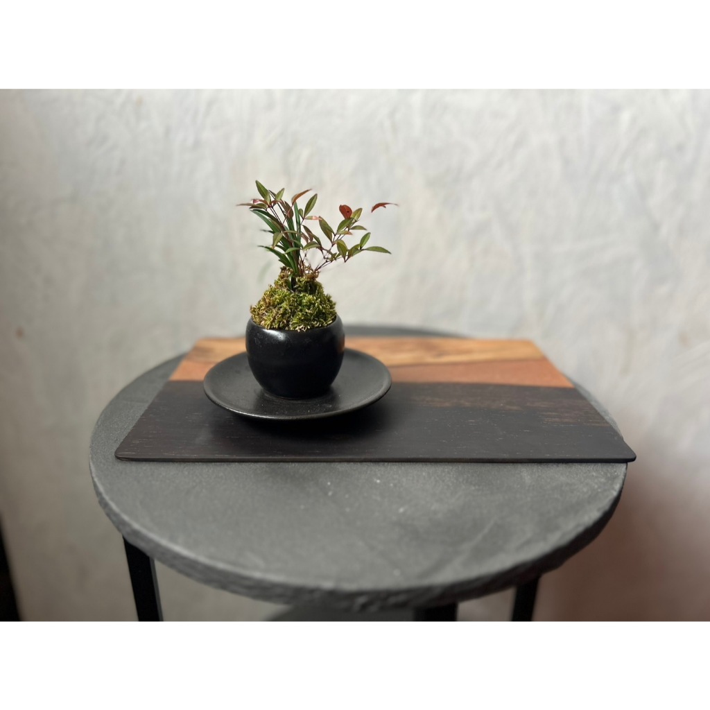 Resin and wood tray you use it is up to you.