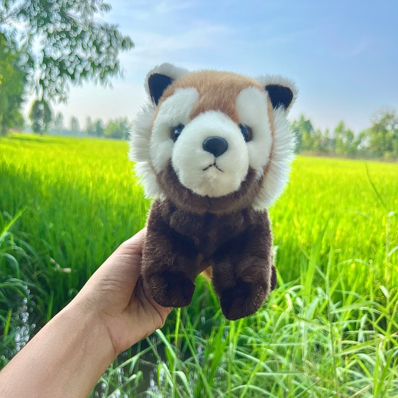 ตุ๊กตาแพนด้าแดง ตุ๊กตา แพนด้าแดง Red panda  LESSER PANDA , RED PANDA,  Red panda plush toy ตุ๊กตาสัต