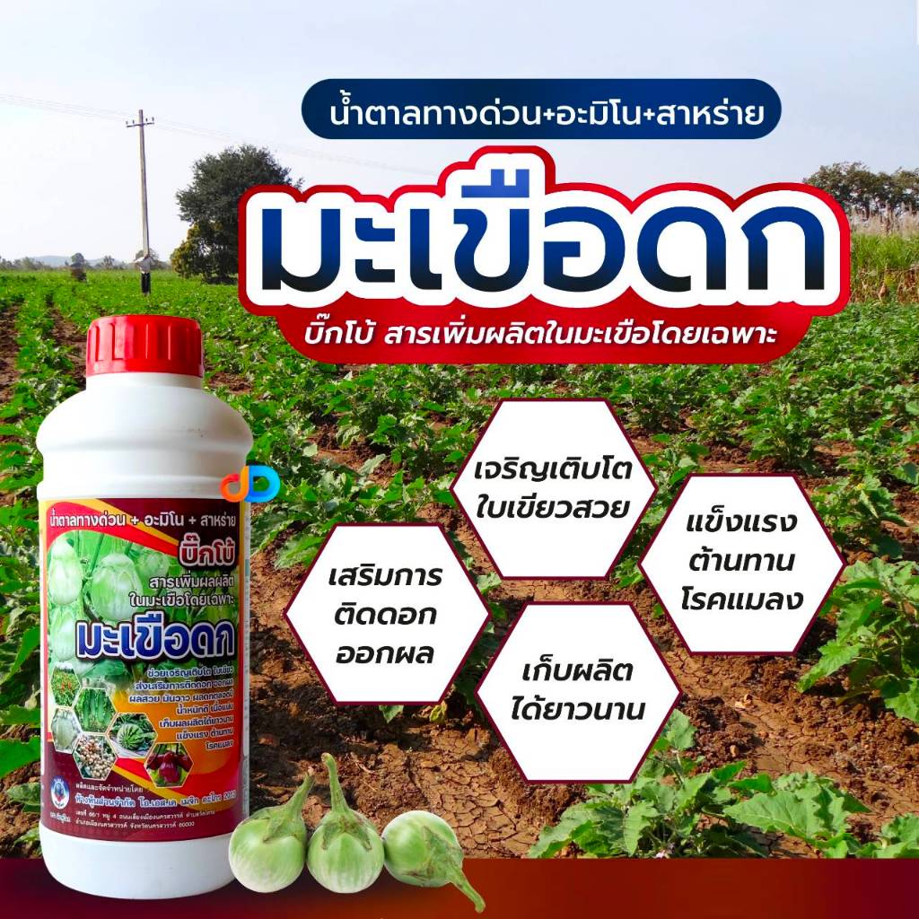 มะเขือดก 1 ลิตร สารเพิ่มผลผลิตในมะเขือโดยเฉพาะ น้ำตาลทางด่วน+อะมิโน+สาหร่าย !!