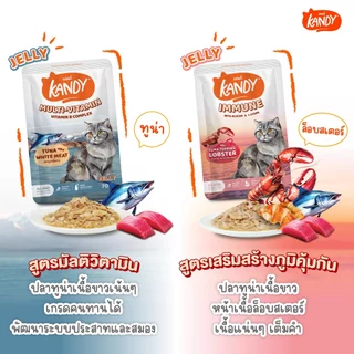 (ยกลัง) Kandy อาหารเปียกแมวแคนดี้ ใช้ปลาทูน่าเนื้อขาว สําหรับแมวอายุ 2เดือนขึ้นไป