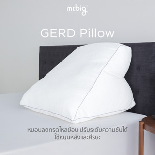 mr.big GERD Pillow หมอน Ergonomic สำหรับผู้ป่วยกรดไหลย้อน ปร…