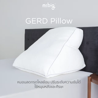 mr.big GERD Pillow หมอน Ergonomic สำหรับผู้ป่วยกรดไหลย้อน ปรับระดับได้ พร้อมปลอกถอดซัก