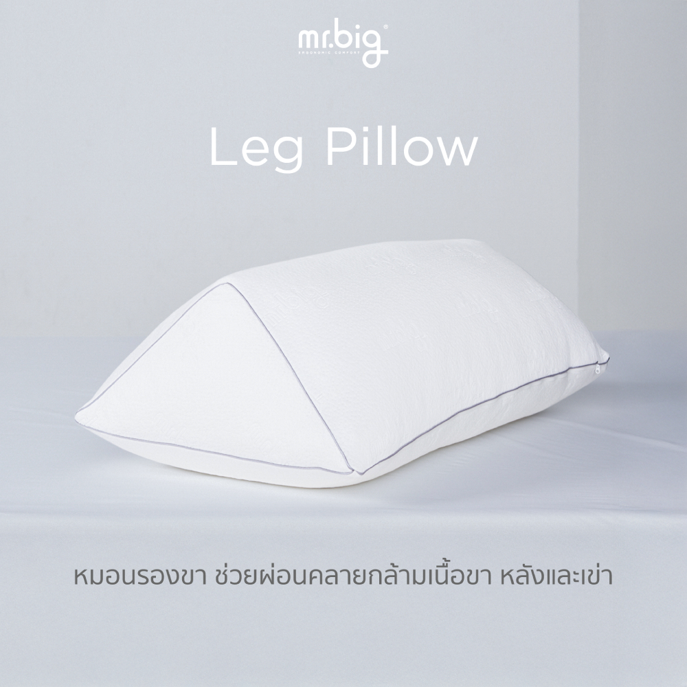 mr.big Leg Pillow หมอนรองขา Ergonomic ผ่อนคลายกล้ามเนื้อขา หลังและเข่า