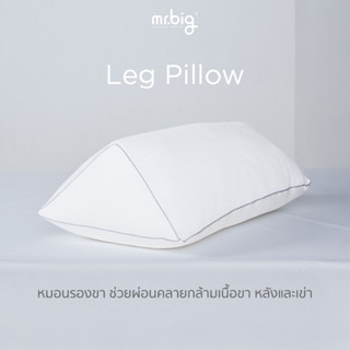 mr.big Leg Pillow หมอนรองขา Ergonomic ผ่อนคลายกล้ามเนื้อขา ห…