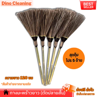 สุดคุ้ม‼️5 แถม 5 ไม้กวาดดอกหญ้า 5 ด้าม +ไม้กวาดทางมะพร้าวสั้นตัดปลาย 5 ด้าม แข็งเเรง ทนทาน สินค้าพร้อมส่ง