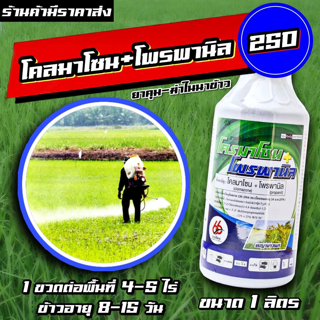 โคลมาโซน + โพรพานิล 66 1ลิตร 💥 ข้าวไม่แดง ยาคุม-ฆ่า ในนาข้าว กำจัดหญ้าวข้าวนก หญ้าดอกขาว หญ้าแดง หญ้ากระดูกไก่