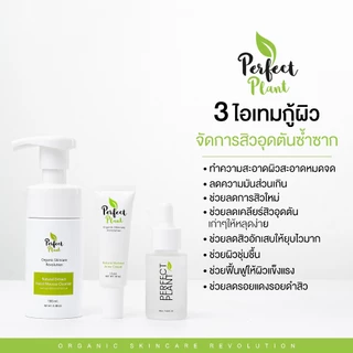 DR.NAME X Perfect Plant เซตดูแลสิว สิวอักเสบ สิวอุดตัน สิวติดสาร (ครีมสิว+โฟมล้างหน้า+ไฮยามอยซ์)