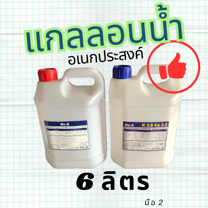แกลลอนน้ำ อเนกประสงค์ 6 ลิตร เกรดA+ สะอาด ปลอดภัย ราคาถูก