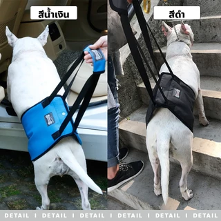 FYP อุปกรณ์ช่วยเดินสุนัข ที่พยุงตัวสุนัข ทำความสะอาดง่าย มี2สีให้เลือก เทา/น้ำเงิน