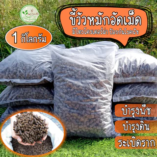 ขี้วัวอัดเม็ดอย่างดี ผสมไตรโครเดอร์ม่าป้องกันโรคพืช ขี้วัวหมัก EM อัดเม็ด มูลวัว ขี้วัว ธาตุอาหารสูงบำรุงพืชระเบิดราก