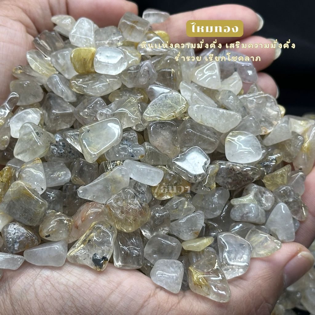 รูปภาพ 6