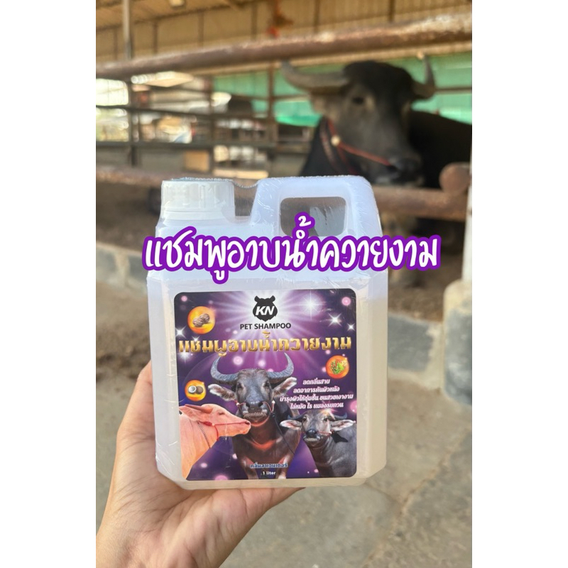 💜แชมพูอาบน้ำควายงาม💜 ขนเงางาม ลดอาการคัน กำจัดกลิ่นเหม็น ไล่หมัด ไร แมลงรบกวน