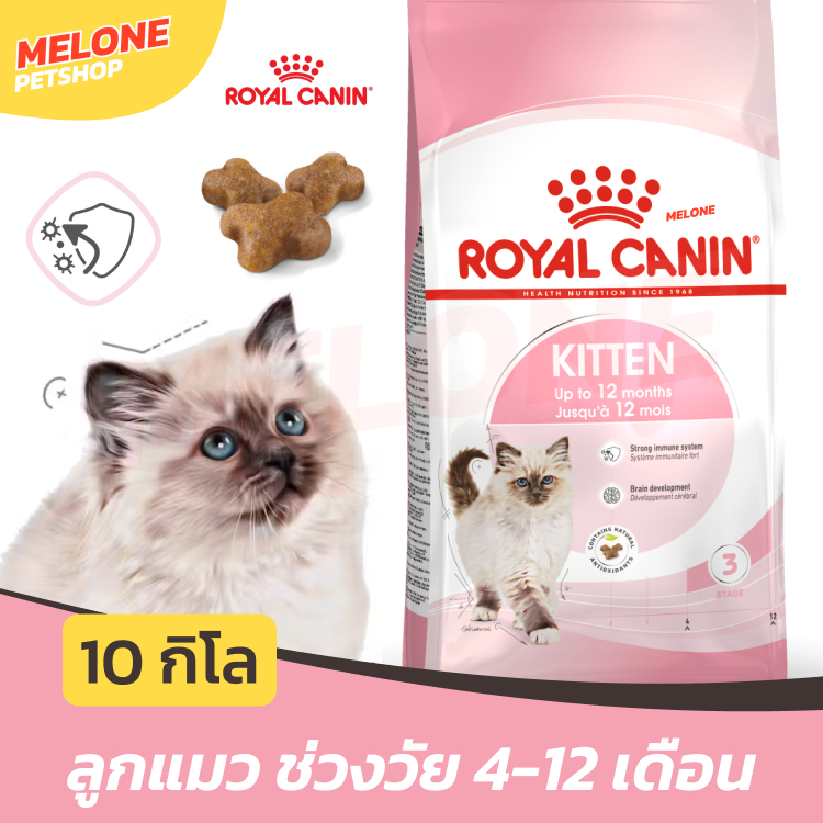 [กระสอบ] Royal Canin Kitten รอยัลคานิน อาหารแมว ลูกแมว แมวเด็ก อายุ 4 – 12 เดือน ขนาด 10 kg – โปรปัง