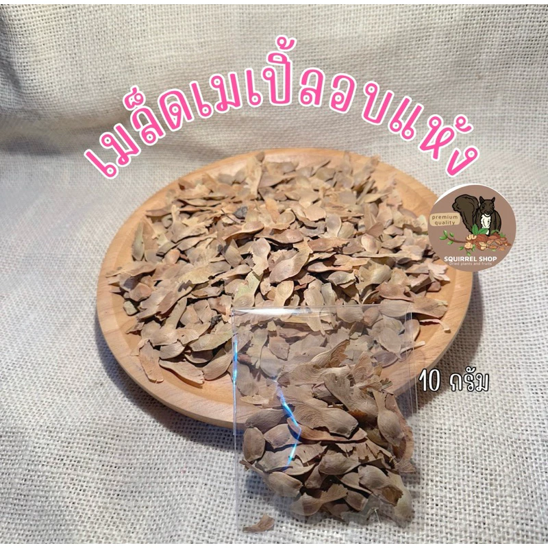 เมล็ดเมเปิ้ล ขนาด10กรัม อาหารนก กระรอก แฮมเตอร์ ชินชิล่า สำหรับสัตว์เลี้ยง