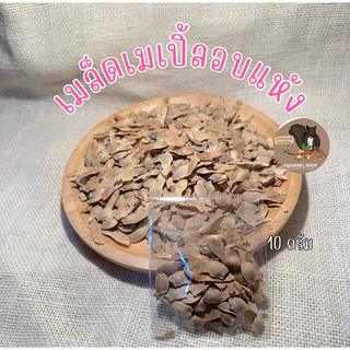 เมล็ดเมเปิ้ล ขนาด10กรัม อาหารนก กระรอก แฮมเตอร์ ชินชิล่า สำหรับสัตว์เลี้ยง