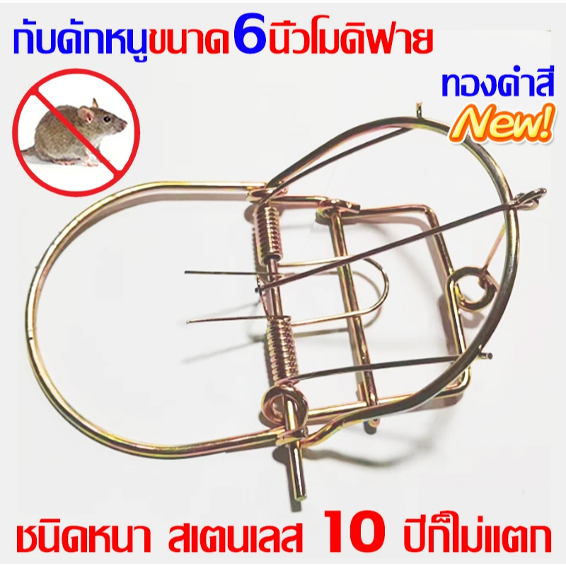10 ปีก็ไม่แตก ที่ดักหนู กับเวียดนาม กับลาว 6นิ้วชนิดหนา สเตนเลส สีทอง กับดักหนูโมดิฟาย กับดักหนู