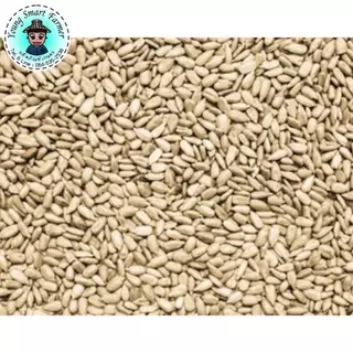 เมล็ดทานตะวันดิบ กะเทาะเปลือก 1 kg (Sunflower Kernels)
