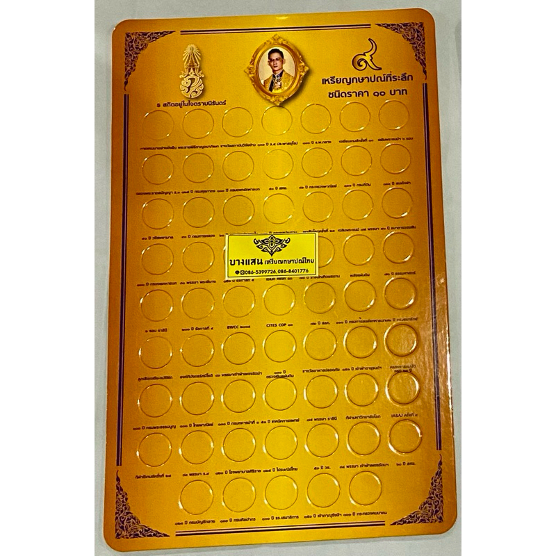 แผงเปล่าใส่สิบสองสี61วาระ.