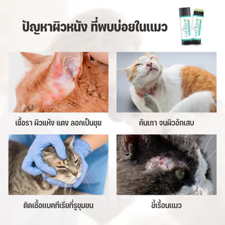 Goodboss Cat Balm บาล์มสำหรับเเมว ลดเชื้อรา ยีสต์ เเบคทีเรีย อาการคัน ขนร่วง สกัดจากธรรมชาติ