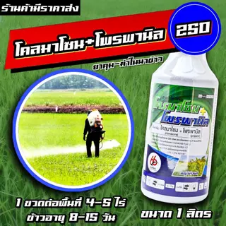 โคลมาโซน + โพรพานิล 66 1ลิตร 💥 ข้าวไม่แดง ยาคุม-ฆ่า ในนาข้าว กำจัดหญ้าวข้าวนก หญ้าดอกขาว หญ้าแดง หญ้ากระดูกไก่