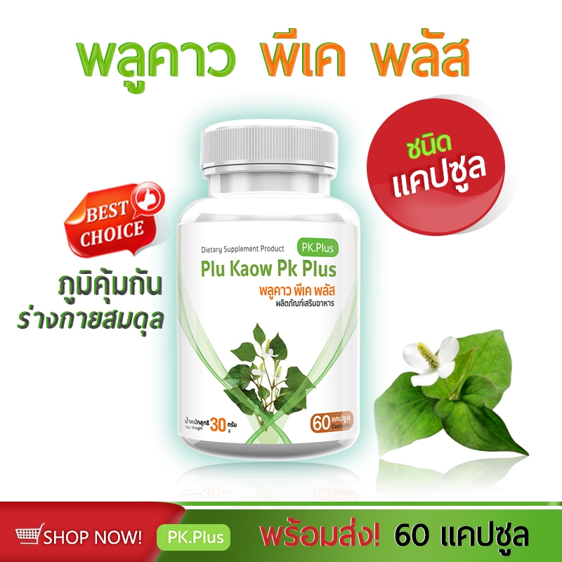 ตัวช่วยเสริมภูมิ ต้านไวรัส จาก พลูคาว PK Plus Plu Kaow 1 กระปุก 60 แคปซูล
