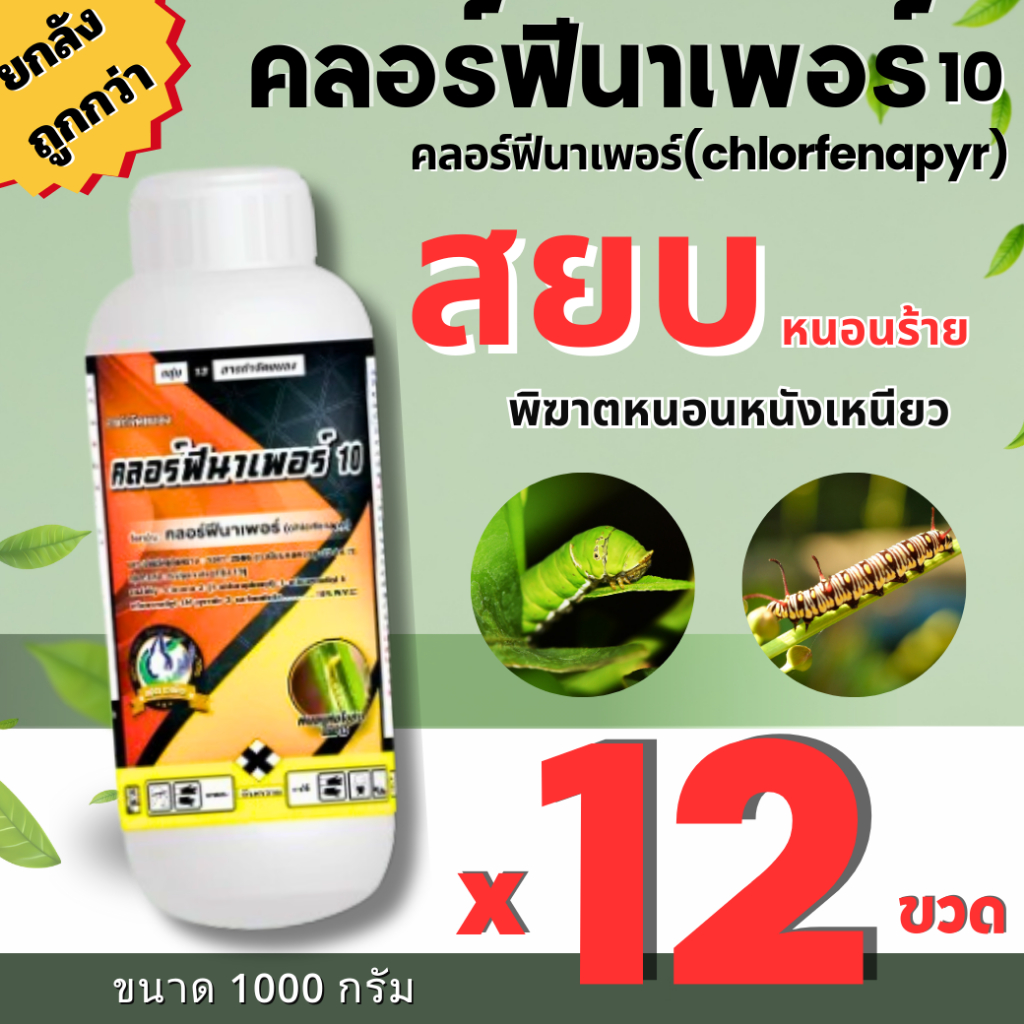 (ยกลัง 12 ขวด) คลอร์ฟีนาเพอร์ 10 เอสซี เทวดารวงข้าว สารกำจัดป้องกันแมลง คลอร์พีนาเพอร์ คลอร์พี แรมเพจหนอนห่อใบ หนอนกระทู