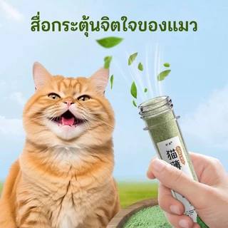 TUIBI แคทนิปแมว กัญชาแมว แบบผงบดละเอียด😺 จาก catnip 100% หญ้าแมวบำรุงแมวอ้วน ตำแยแมว ราคาถูก