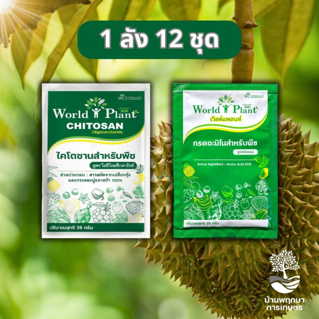 World Plant คู่หูมหัศจรรย์ เวิลด์แพลนท์ แพ็คคู่  ยกลัง 12 ชุด