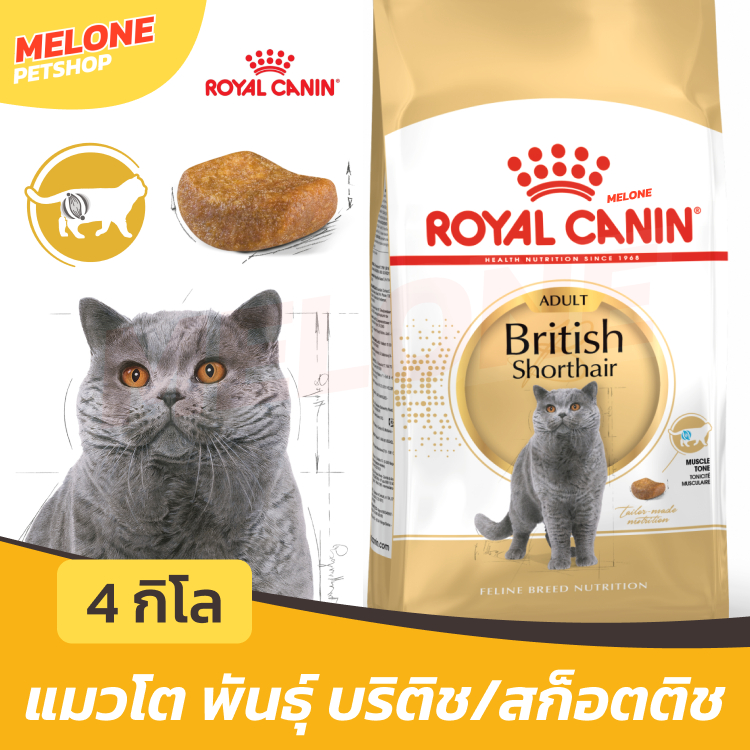 Royal Canin British Shorthair Adult อาหารแมว พันธุ์ บริติช ชอร์ตแฮร์ แมวโต อายุ 12 เดือน ขึ้นไป 4 kg
