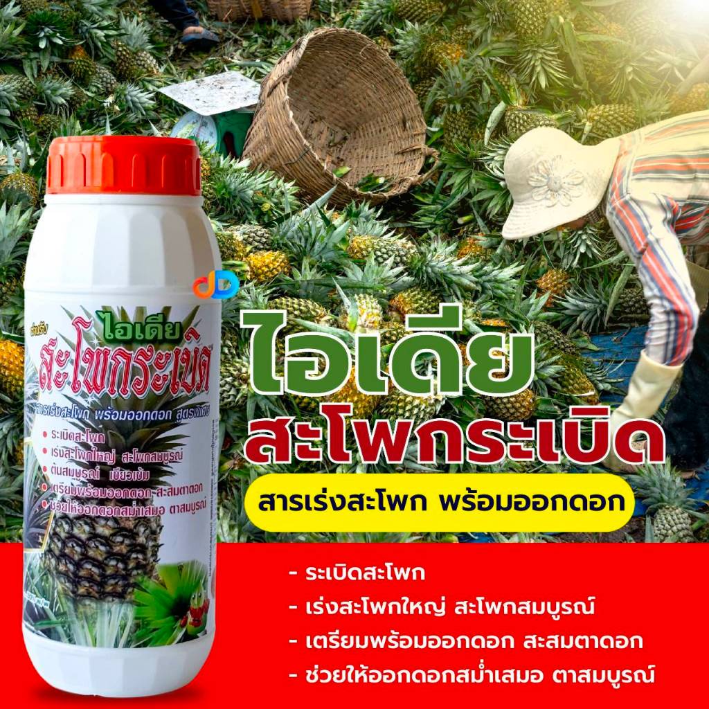 ไอเดีย-สะโพกระเบิด ขนาด 1 ลิตร สารเร่งสะโพก พร้อมออกดอก สูตรพิเศษ