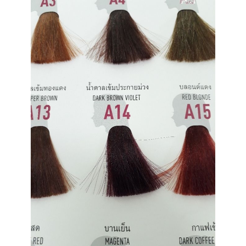 โกรกเบอริน่า สีผมเบอริน่า A12 A13 A14 A15 A16 A17