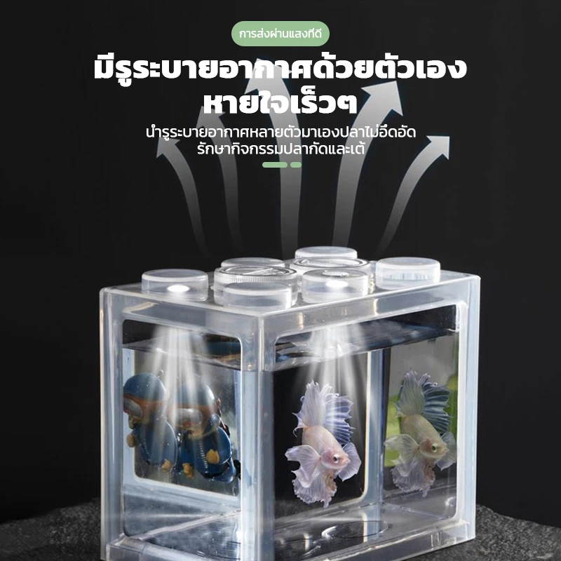 ตู้ปลากัด โหลปลากัด ABS แข็งแรง พร้อมฝาปิด หลายขนาด thumbnail 6