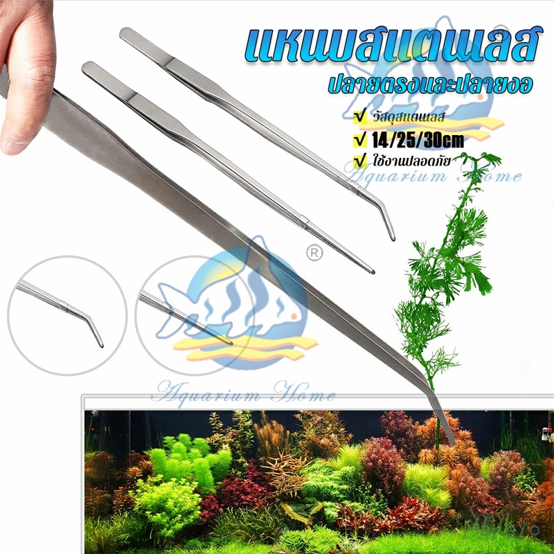 ฟอเซป Long Forcep ปากคีบ แหนบยาว สแตนเลส แหนบตรง แหนบโค้ง ให้อาหารแหนบสัตว์ แหนบจัดตู้ปลา