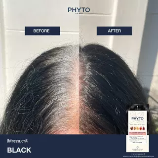 PHYTO PERMANENT COLOR - รวมทุกสี ผลิตภัณฑ์ย้อมสีผม ครีมเปลี่ยนสีผม ปิดผมขาว ไม่มีแอมโมเนีย ไม่มีกลิ่นฉุน