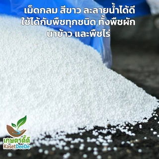 ปุ๋ยยูเรีย 46-0-0 พลังแห่งไนโตรเจนเพื่อพืชที่เจริญงอกงาม (300G/1KG)
