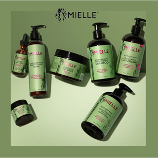 แท้ 🇺🇸 MIELLE Rosemary Mint Strengthening Shampoo