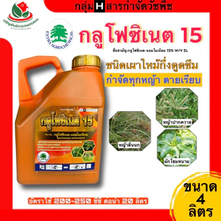 แกลลอนส้ม กลูโฟซิเนต15 4ลิตร สูตรน้ำเขียว กำจัดแบบไม่เลือกหญ้า ใข้ในสวนผลไม้ ไร่มัน ไร่อ้อย ข้าวโพด สวนทั่วไป