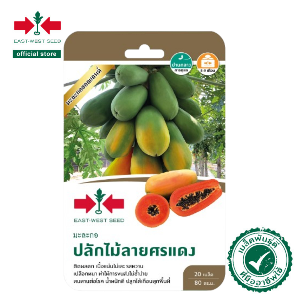 ศรแดง เมล็ดพันธุ์มะละกอ ปลักไม้ลายศรแดง (East-West Seed) เมล็ดพันธุ์ ผักสวนครัว ตราศรแดง