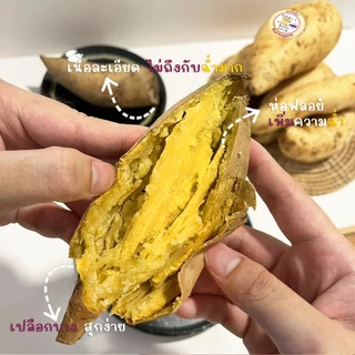 Oishi-Fresh มันหวานญี่ปุ่น 🍠3 สายพันธุ์ 🍠🇹🇭ปลูกไทย🇹🇭 เนื้อ ม่วง ส้ม ครีม หอมหวานออร์แกนิค 1 กก. สินค้าเคลมได้