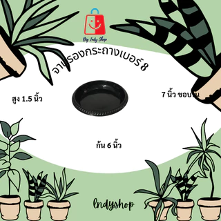 จานรองกระถางต้นไม้ จานรองพลาสติก ถาดใส่ภาชนะ ดีไซน์เก๋ ดูมีระดับ ดำเงา ไม่หมองให้เคืองสายตา มีหลายขนาดให้เลือก [ สีดำ ]