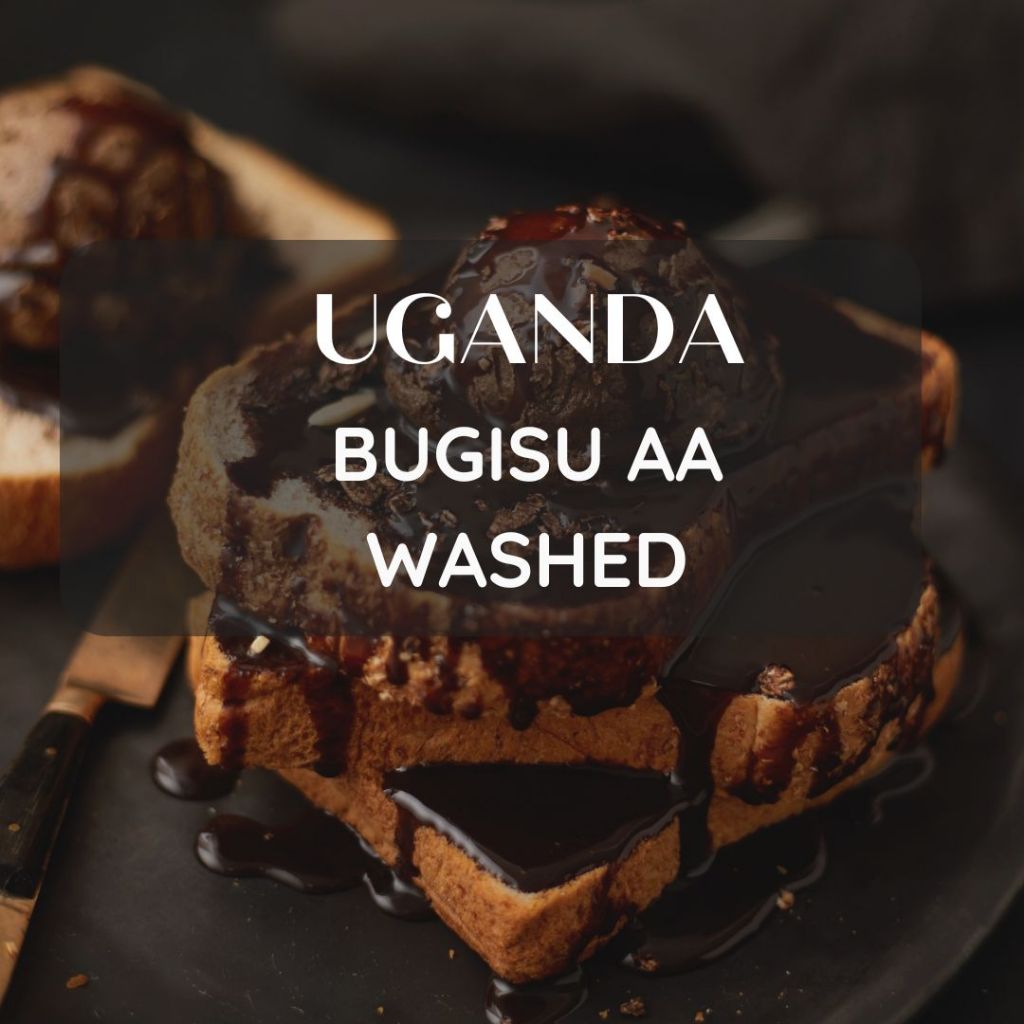 สารเมล็ดกาแฟ Uganda Bugisu AA Washed