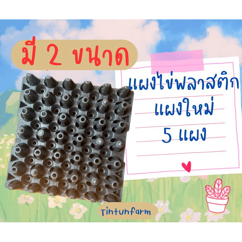 แผงไข่พลาสติกแผงใหม่มี2ขนาด