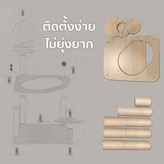 🌈PetParadise.th✨คอนโดแมว คอนโดไม้ คอนโดแมวเด็ก ขนาดกระทัดรัด สไตล์มินิมอล พร้อมหลุมอวกาศ