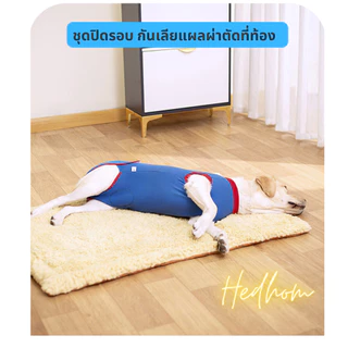 พร้อมส่ง ‼️ชุดใส่หลังผ่าตัดสำหรับสุนัขเล็กถึงใหญ่ ชุดกันเลีย ปิดรอบ ระบายอากาศได้ดี