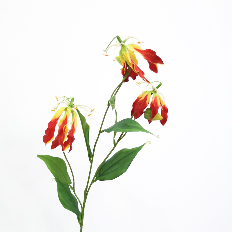 ดองดึงประดิษฐ์ flame lily ดอกดองดึงปลอม