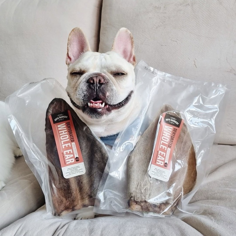 หูวัวแผ่น หูวัวหั่นยาว หูวัวเต็มใบ หูวัวอบแห้ง Cow Ear and Whole Ear ขนมน้องหมา Hoya Barkery